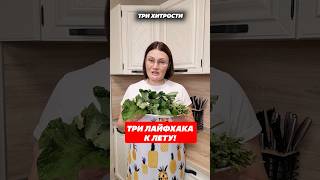 Три лайфхака к лету! #лето #лайфхак #домохозяйка #советы #дом #дача #сад #огород #хитрости #смекалка