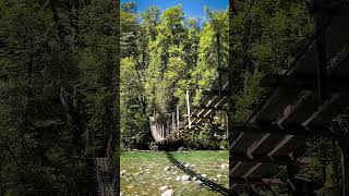 Pasarela sobre el Rio Azul en El Bolson, Argentina. #shorts