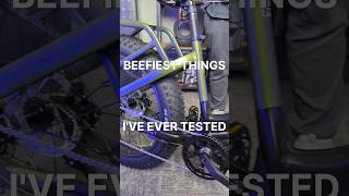 Beefy eBike: Perfect For The Hunter / Outdoorsman 🥩🚵