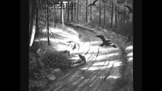 Burzum - Det Som Engang Var