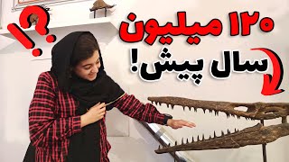 تجربه سفر به عصر "دایناسورها" دردریای  یزد!