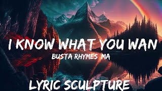 Busta Rhymes, Mariah Carey - I Know What You Want (Lyrics) ft. Flipmode Squad  | 30mins with Chill