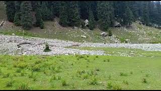 اپر دیر کوہستان جاز بانڈا کے پی کے 🇵🇰🌲🌲🌲⛰️