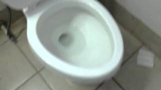 39. Newer Virtomex toilet