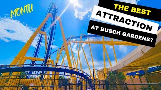 Montu - Front Seat POV - Busch Gardens, Tampa