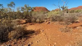 Walking in the Olgas (Kata Tjuta), Australia, 28th Aug 2019.