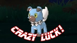 LIVE (SuMo): Shiny Rockruff after 10 SOS encounters