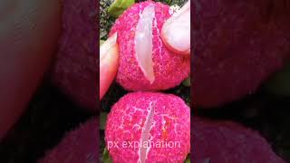 Wow so nice lichi fruits. It's so beautiful #shorts #youtubeshorts #pxexplanation