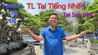 ANH THÙY HP CS & nhìn nhận về FESTIVAL THỦ ĐÔ * TL TAI TIẾNG NHẤT * BTC cần RÚT KINH NGHIÊM SÂU SẮC.