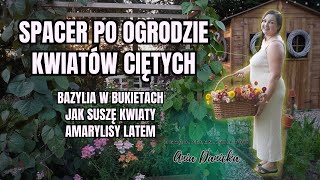 Spacerujemy po ogrodzie kwiatów ciętych. Suszę kwiaty, opowiadam o bazylii w bukietach i amarylisach