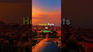 Halal Pets in Islam 😺🐈 #islamicshorts @DeenGalaxy