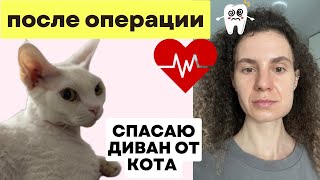 Боли после операции / Кокос разбойник