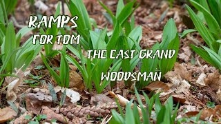 Ramps for "The East Grand Woodsman!"