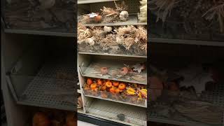 Fall wreath items at Hobby Lobby