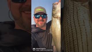 Striped Bass Fishing Fun on the Chesapeake Bay