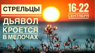 Стрелец ♐️ 16-22 сентября 2024 года 🗝🍀✨❤️☀️Таро Ленорман прогноз предсказания