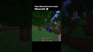 Minecraft Scary Moment ☠️ #minecraft #memes #minecraftmemes #minecraftshorts #funny #fyp #meme