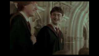 just harry being harry harry potter harry james potter dracotok harry tok #Shorts