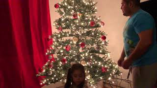 Vlogmas Day  1 2017ll putting up the Christmas tree 🌲