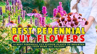 10 PERENNIAL CUT FLOWERS TO BRIGHTEN YOUR HOME ALL SEASON! 🌸🌻🌺 // Gardening Ideas