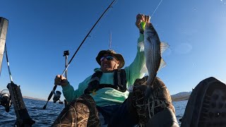 Native Titan 10.5 Lake Mead, Echo Bay; Killed February skunk. BONUS FOOTAGE at end of Boulder Harbor