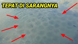 Tepat Di Sarangnya ||KETAPEL IKAN|| #ketapelikan #slingshot