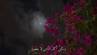 لاحول ولاقوة الا بالله 🤍✨