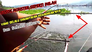 SOSOK MOSTER CIRATA-YANG BANYAK DI NANTiKAN PARA PEMANCING