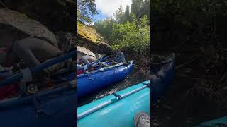 Team Foozle 2022 Remote Alaska Drift Chilling Past The Rapids