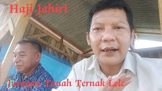 Juragan Tanah Ternak Lele/Lele dumbo