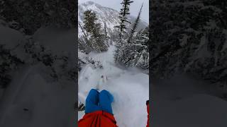 powder drops and tree #skiing #extremesports #ski