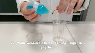 Nachweisreaktion: Fehling Probe