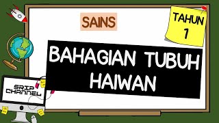 BAHAGIAN TUBUH HAIWAN SAINS TAHUN 1