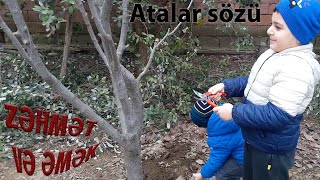 Atalar sözü 2-ci hissə (Zəhmət və Əmək)