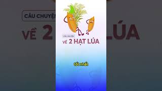 câu chuyện 2 hạt lúa p1 #shorts #baihoccuocsong #câuchuyện