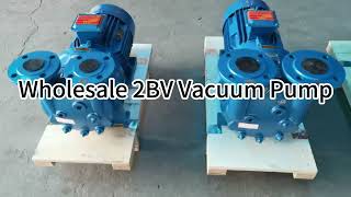 Why more and more people choose high-quality 2BV series vacuum pumps?