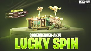 NEW AKM SPIN | CODE BREAKER UPGRADABLE AKM SKIN PUBG | #pubg #bgmi