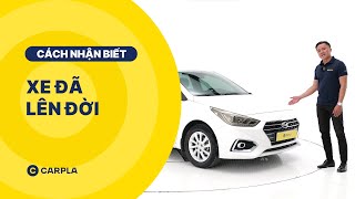 CARPLA TIPS | CÁCH PHÁT HIỆN XE ĐÃ LÊN ĐỜI