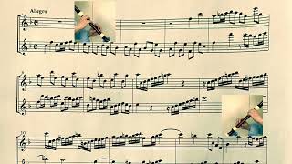 Telemann.  6 Sonatas, TWV 40:103    2.Allegro   テレマン