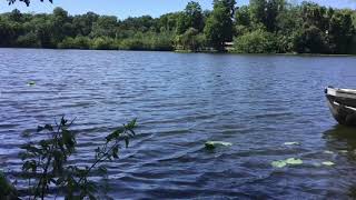 Mr. Penn talks Act 4 from Romeo and Juliet while you enjoy a moment of Zen Hillsborough River