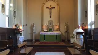 Conventual Mass: Tuesday, 12th Week in Ordinary Time (23rd June 2020)