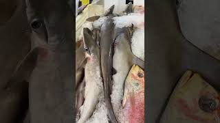 Shark in the fish market!!!#shorts#shark