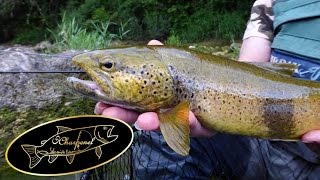 Une journée de pêche dans le Jura, qu'il ne fallait pas rater !