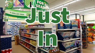 Dollar Tree 2024 | NEW Finds This Week😮😮😮