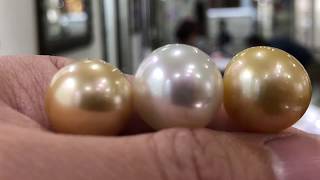 Japanese Cultured Pearls - premium sizes and quality