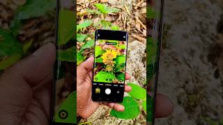 Realme 12 Pro Plus 5G 120x camera review #shorts #ytshorts #realme