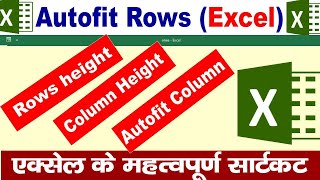 Rows Height in Excel | Autofit In Excel  | Shortcut of MS Excel | Add Border | Excel Shortcut |