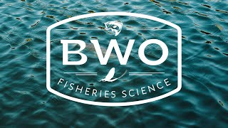 We are BWO. Fisheries Science, Applied.