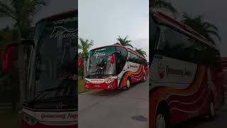 Gumarang Jaya Maunjua class otw jakarta#bus #basuri #videoshorts #busmania #busakap#telolet