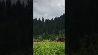 Taobut Neelum Valley Azad Kashmir